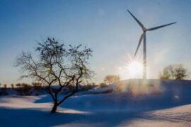 又野性又撩人的个性签名