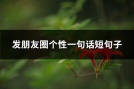 发朋友圈个性一句话短句子(共74句)