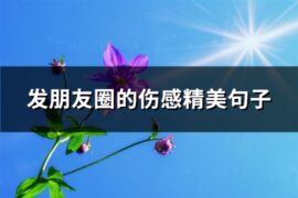 发朋友圈的伤感精美句子(精选74句)