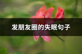发朋友圈的失眠句子(推荐74句)