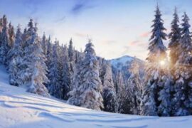 古人描写小雪节气的经典诗句