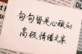 句句是心酸的高级情绪文案句子