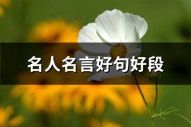 名人名言好句好段(60句)