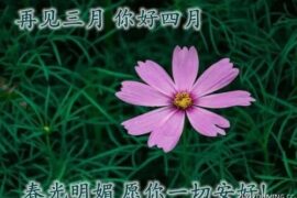 四月你好的最新祝福语