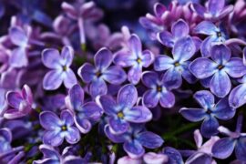 挺押韵的土味社会语录