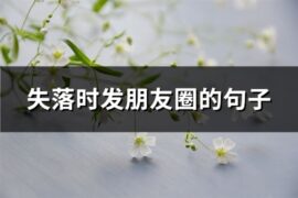 失落时发朋友圈的句子(73句)