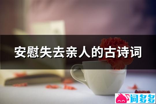 安慰失去亲人的古诗词(汇总25句)