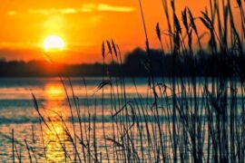 富有哲理的名人名言名句