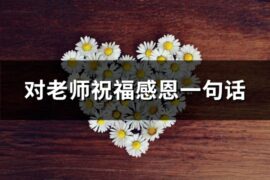 对老师祝福感恩一句话(共74句)