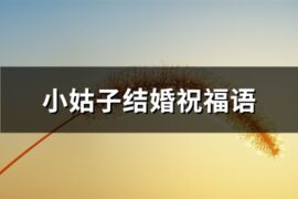 小姑子结婚祝福语(56句)