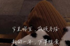 岁末将至敬颂冬绥的句子