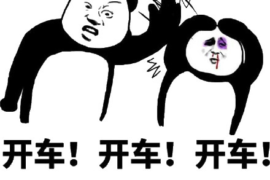 网络用语“开车”表情包图片