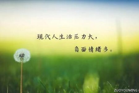 形容压力大感慨的句子