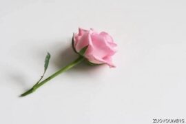 很暖很治愈的简短个性签名