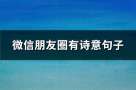 微信朋友圈有诗意句子(74句)