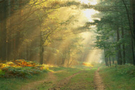 心态阳光正能量句子