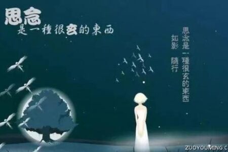 想念一个人的经典句子