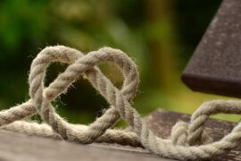 感恩节问候老板说的感恩的话