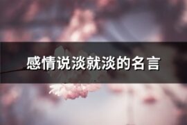 感情说淡就淡的名言(汇总97句)