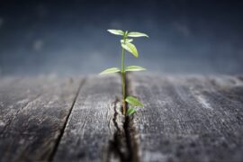 关于成功的名言名句摘抄