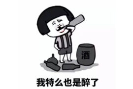 我也是醉了是什么意思？下一句咋接？