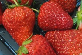 高情商拒绝借钱的搞笑句子