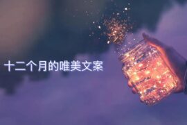 描写一整年十二个月份的浪漫唯美句子