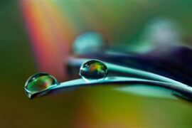 50句优美古风句子带你体验古时的浪漫