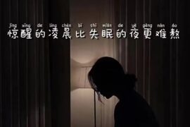 描写失眠睡不着的句子