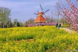 描写春天的优美句子