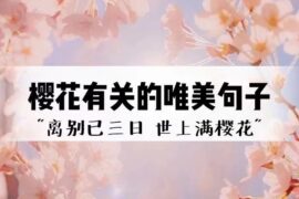 描写樱花的唯美浪漫文案