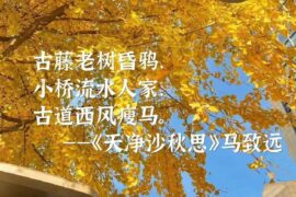 描写秋天的古诗词句