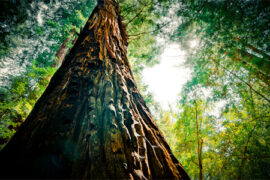 撩人心动文案短句