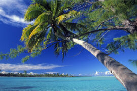 撩人的温柔情话