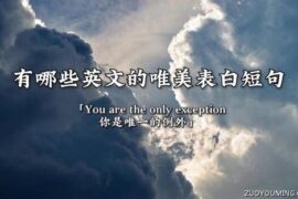 文艺又唯美的英文小众表白语