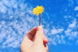 早上发圈吸引人的句子