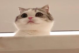 早安点赞最多的句子