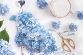 晚安前的一句暖心话对喜欢的人