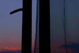 最新20句晚安正能量句子