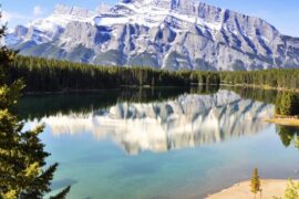 最个性最牛的句子