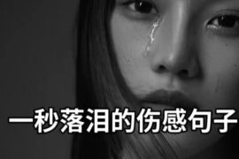 最心酸委屈决定放弃一个人伤感的句子