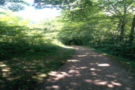 最肉麻的经典情