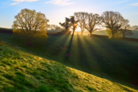 能打动人心的早安问候短句
