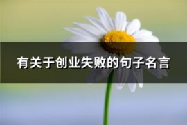 有关于创业失败的句子名言(汇总57句)