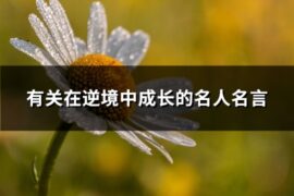 有关在逆境中成长的名人名言(优选118句)