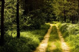 有深度有格局的句子（精选30句）