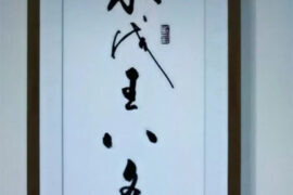 水浅王八多是什么梗？水浅王八多的意思详解