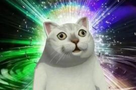 沙雕个性签名文案