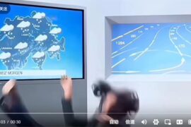 海公牛什么意思什么梗