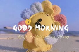 温暖又美好的微信朋友圈早安祝福语